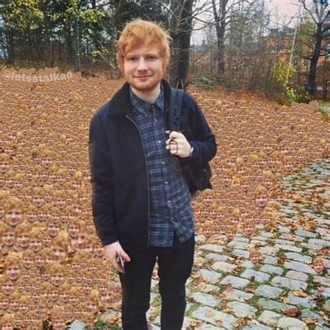 ed sheeran instagram profile|ed sheeran instagram followers.